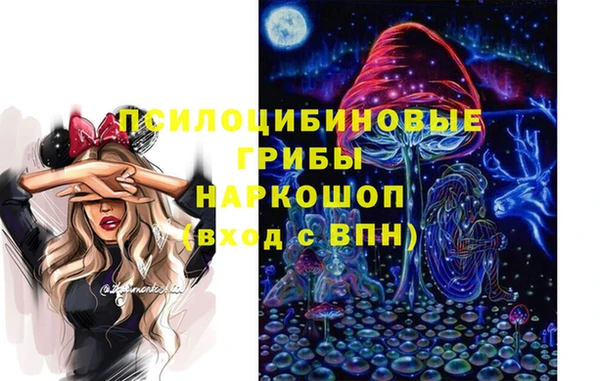 винт Алексеевка