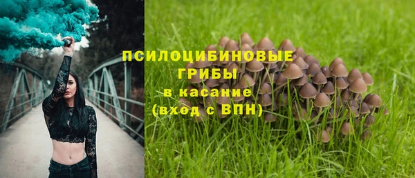 мескалин Алексин