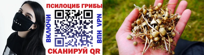 Галлюциногенные грибы GOLDEN TEACHER  omg ТОР  Амурск 